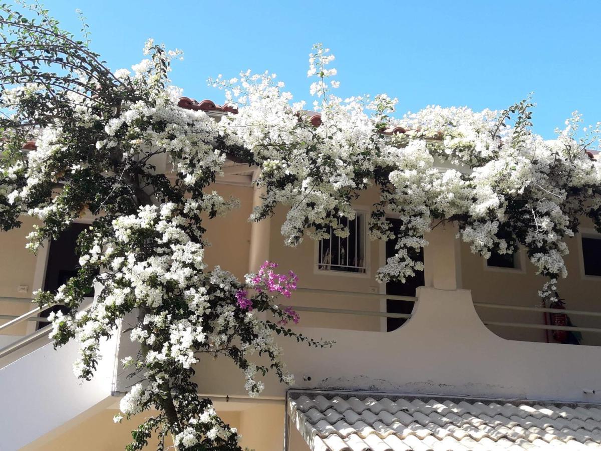 Makis Apartments Arillas (Corfu) Exterior foto